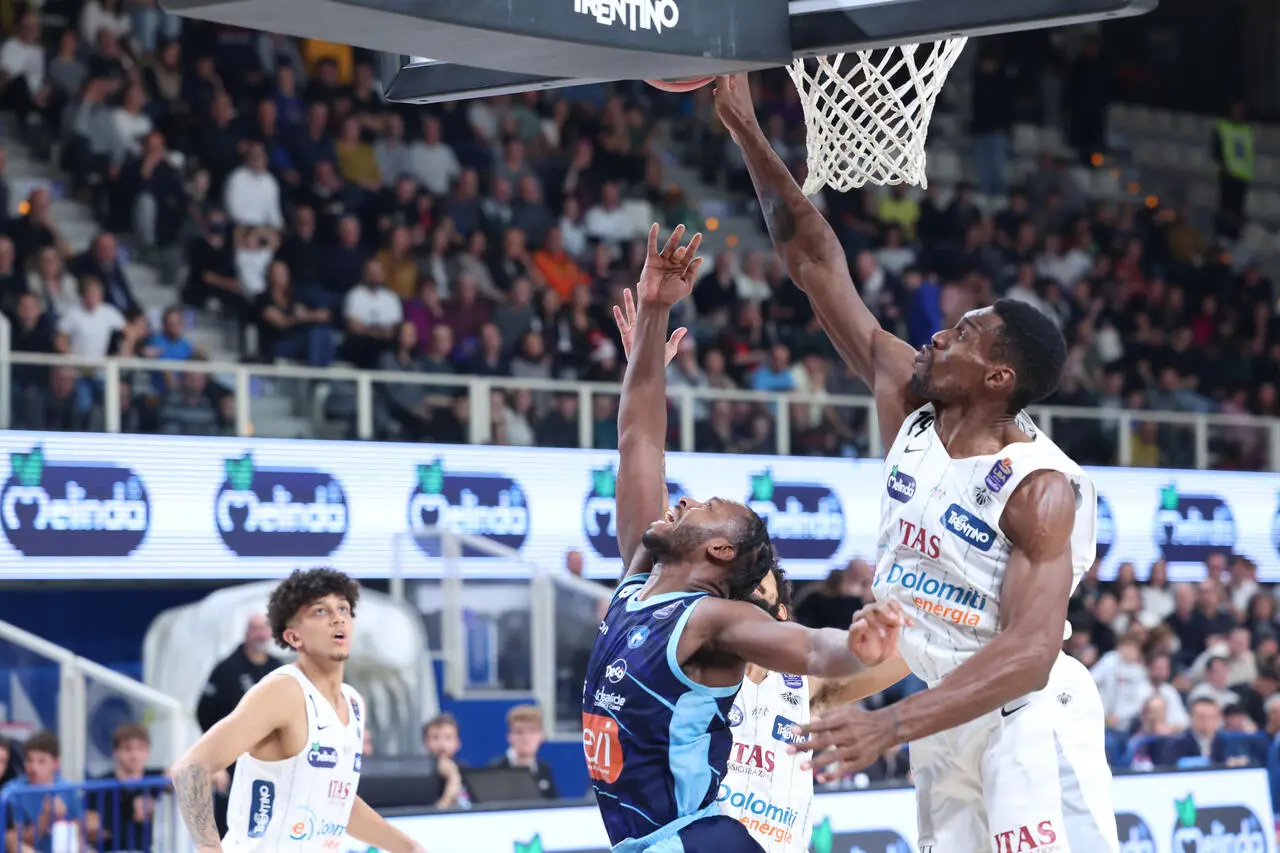 l0-tml2270613714689-529486075093-1703360634428735