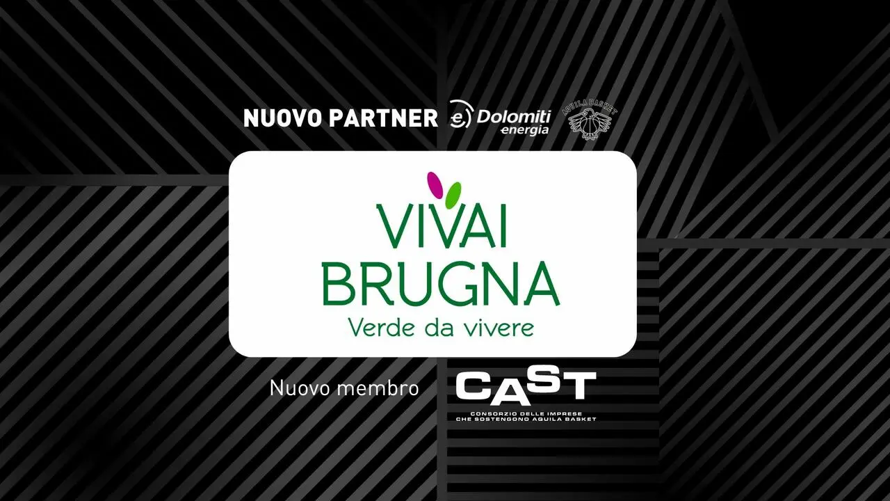 l273891082440-tml2270613714689-112337376469-1727276839574212