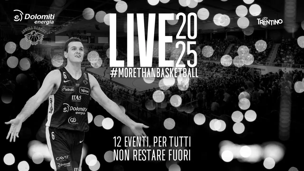 l273891082440-tml2270613714689-113142682837-1733741960470105