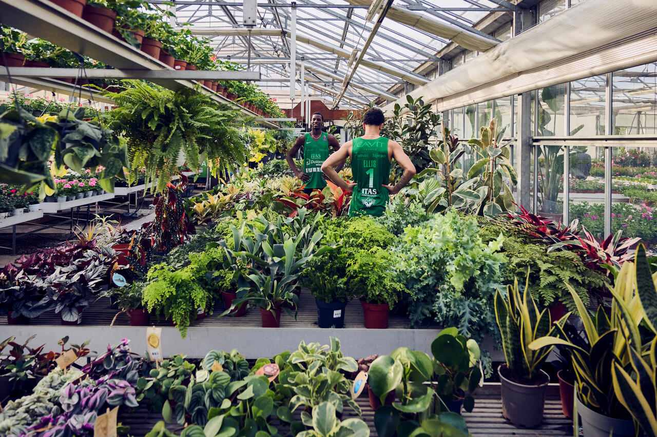 l273891082440-tml2270613714689-154481743061-1745417281740493