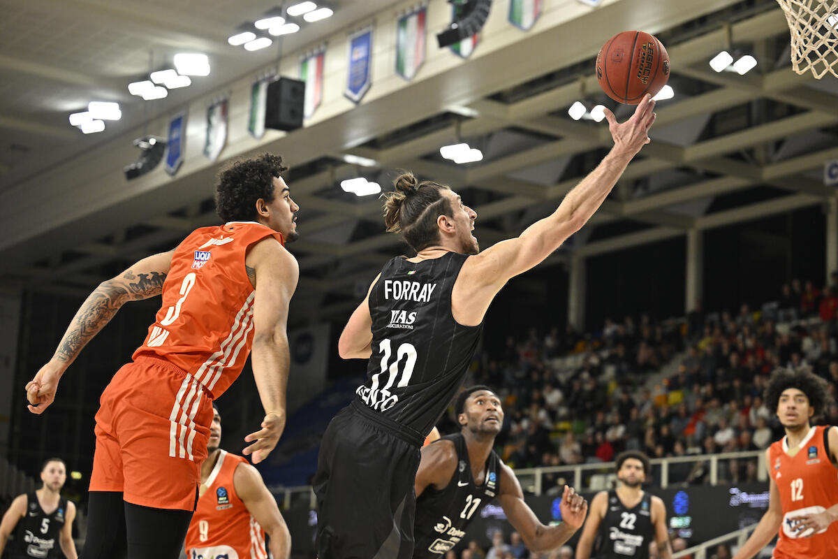 l273891082440-tml2270613714689-170050999509-173689238493234