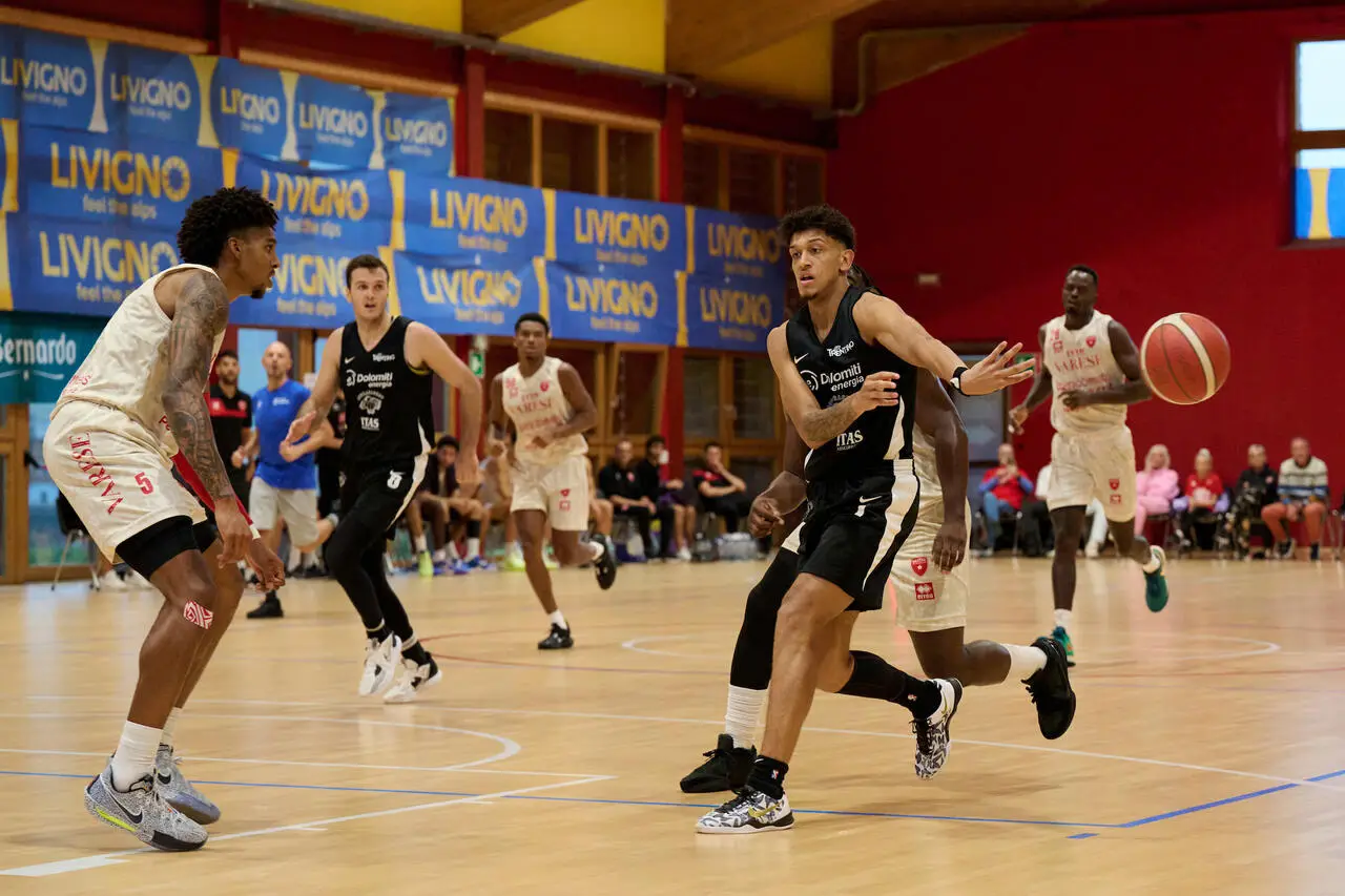 l273891082440-tml2270613714689-193941755093-1726234292687842