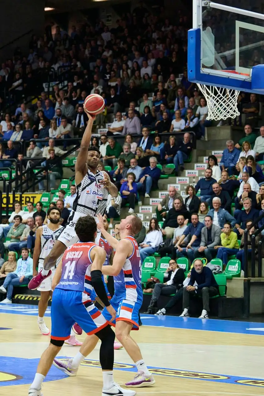 l273891082440-tml2270613714689-252729119957-1729861486706936