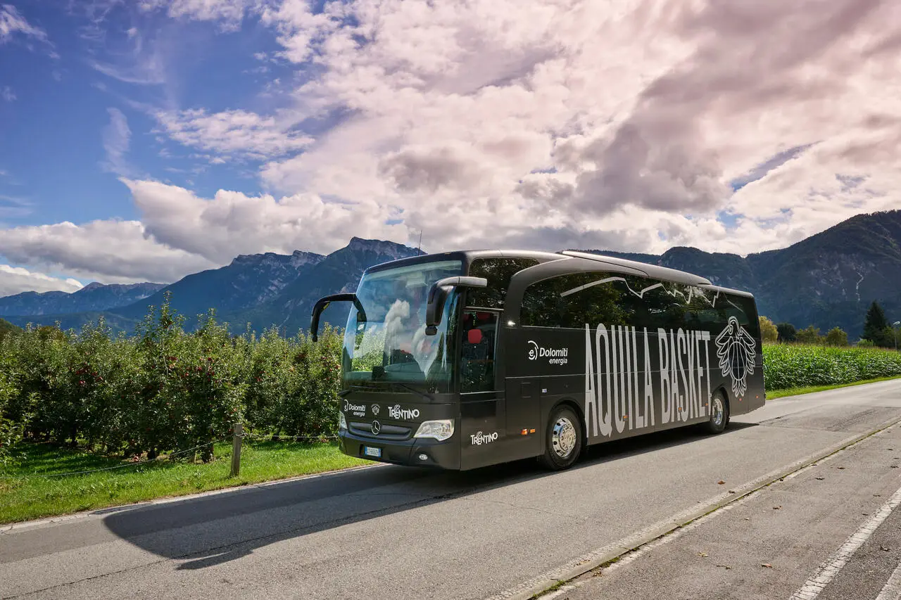 l273891082440-tml2270613714689-284136068309-1727263730738796