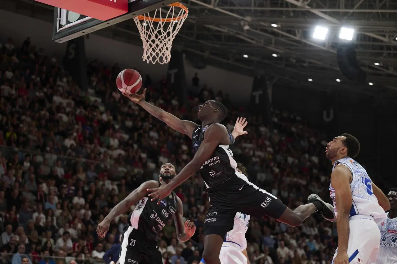 l273891082440-tml2270613714689-289236341973-1731686959586312