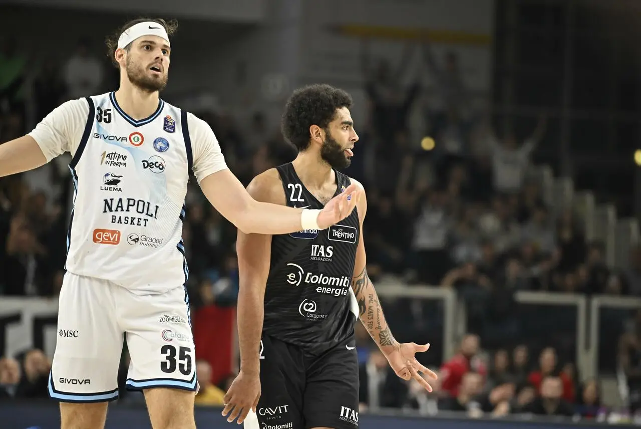 l273891082440-tml2270613714689-310711178453-1733088207601569