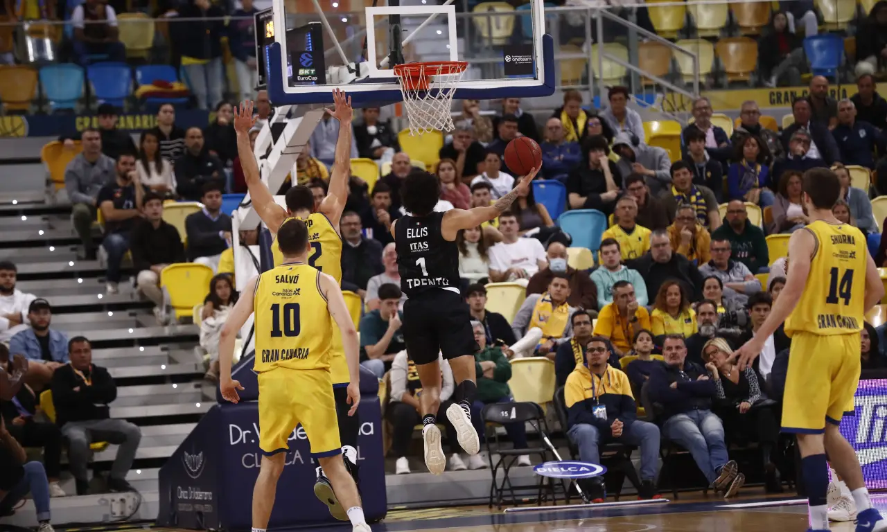 l273891082440-tml2270613714689-327085741269-1727084951218401