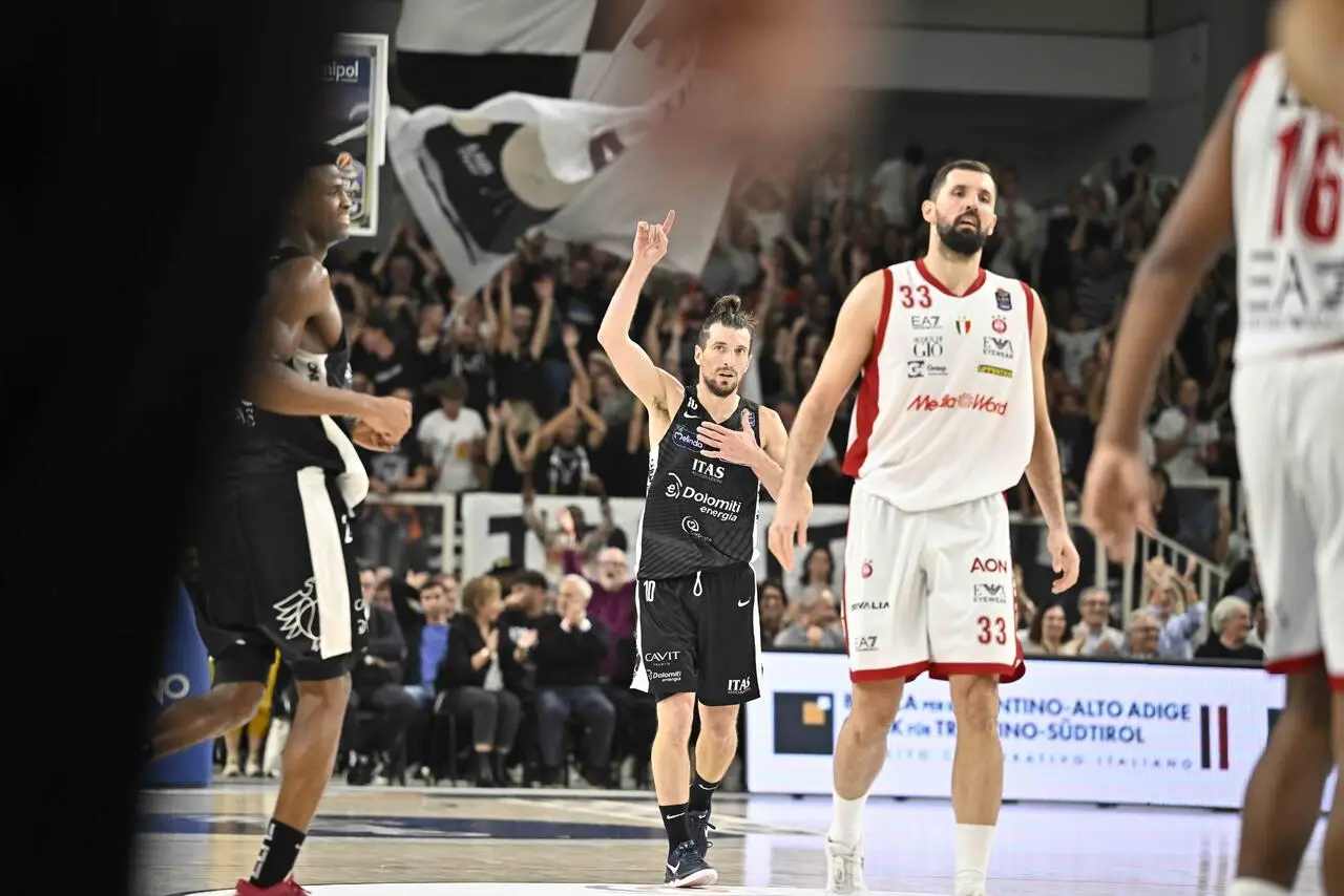 l273891082440-tml2270613714689-349365884117-1730664598637243