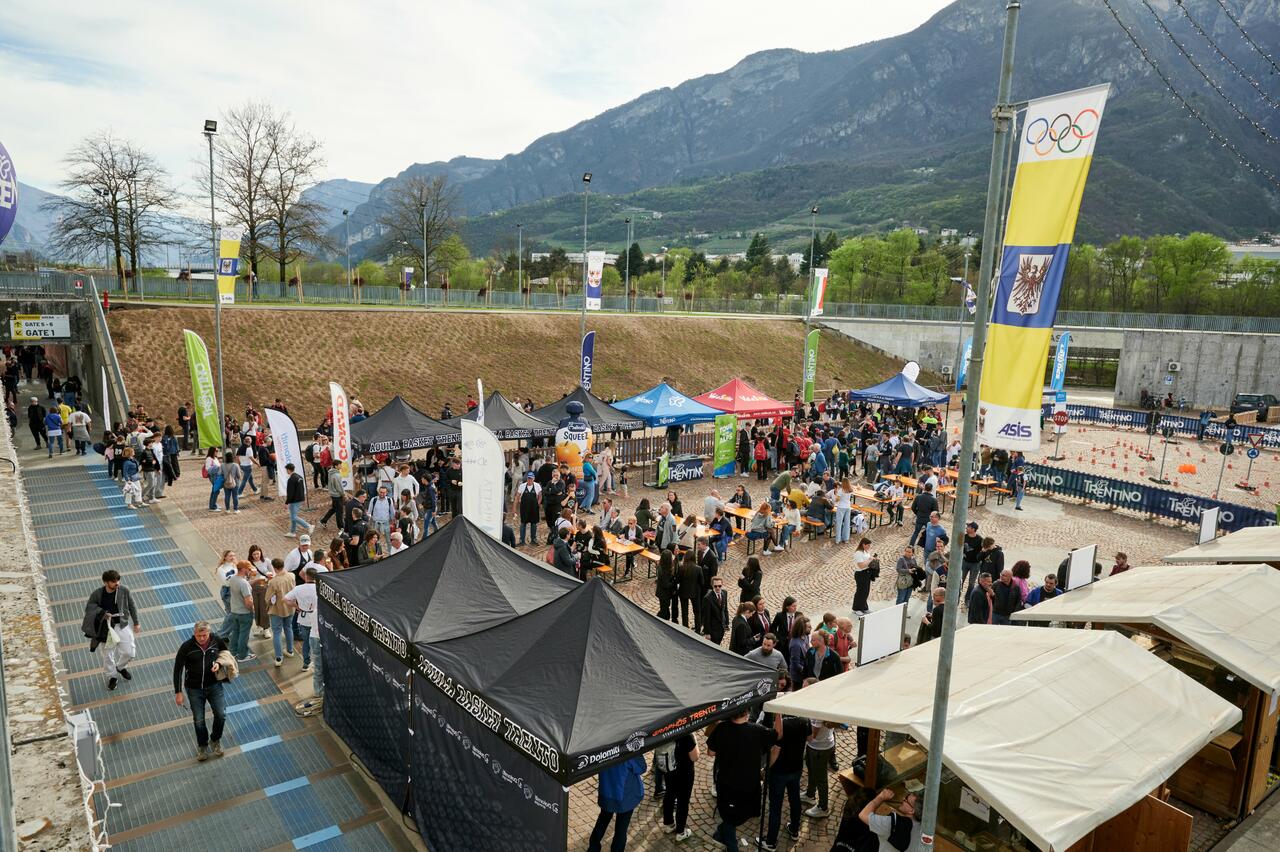 l273891082440-tml2270613714689-352050238677-1743677412357100