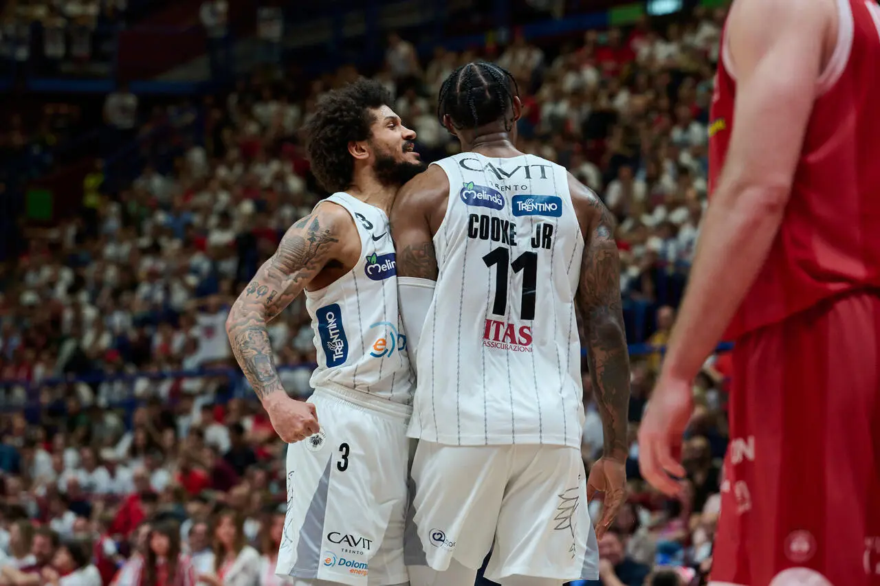 l273891082440-tml2270613714689-368961672405-1715595982595077