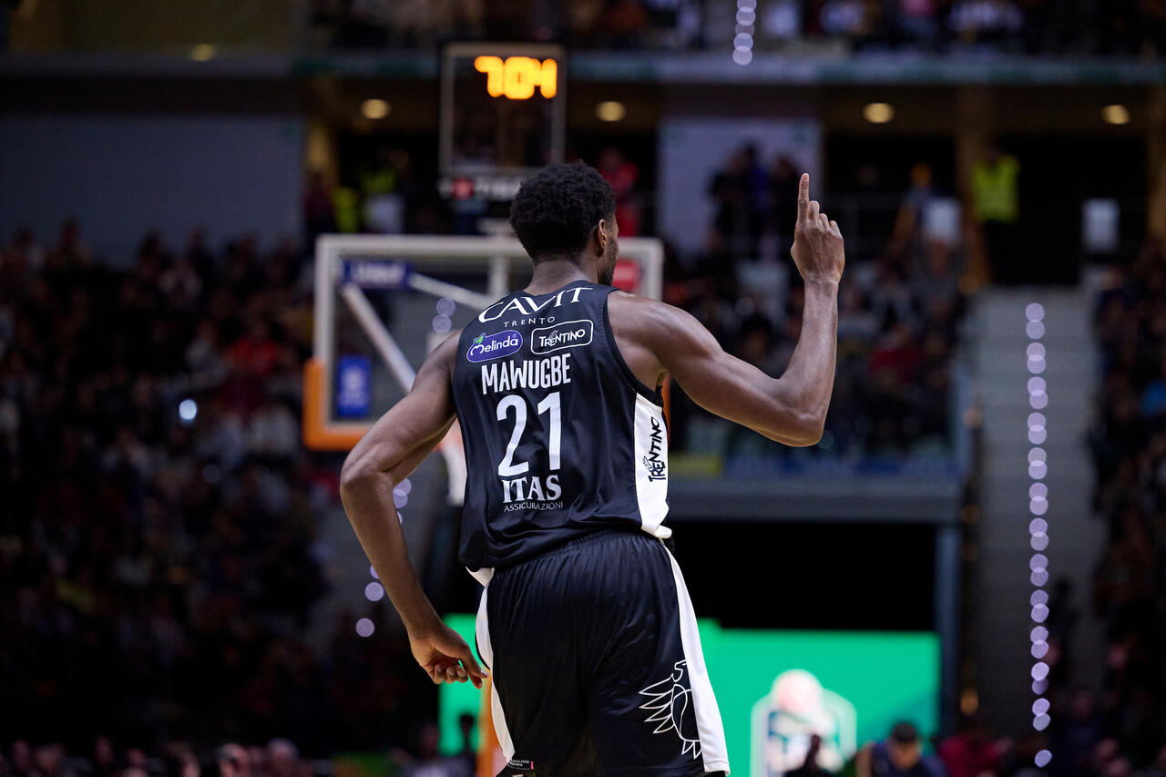 l273891082440-tml2270613714689-378356913365-1741859682129974