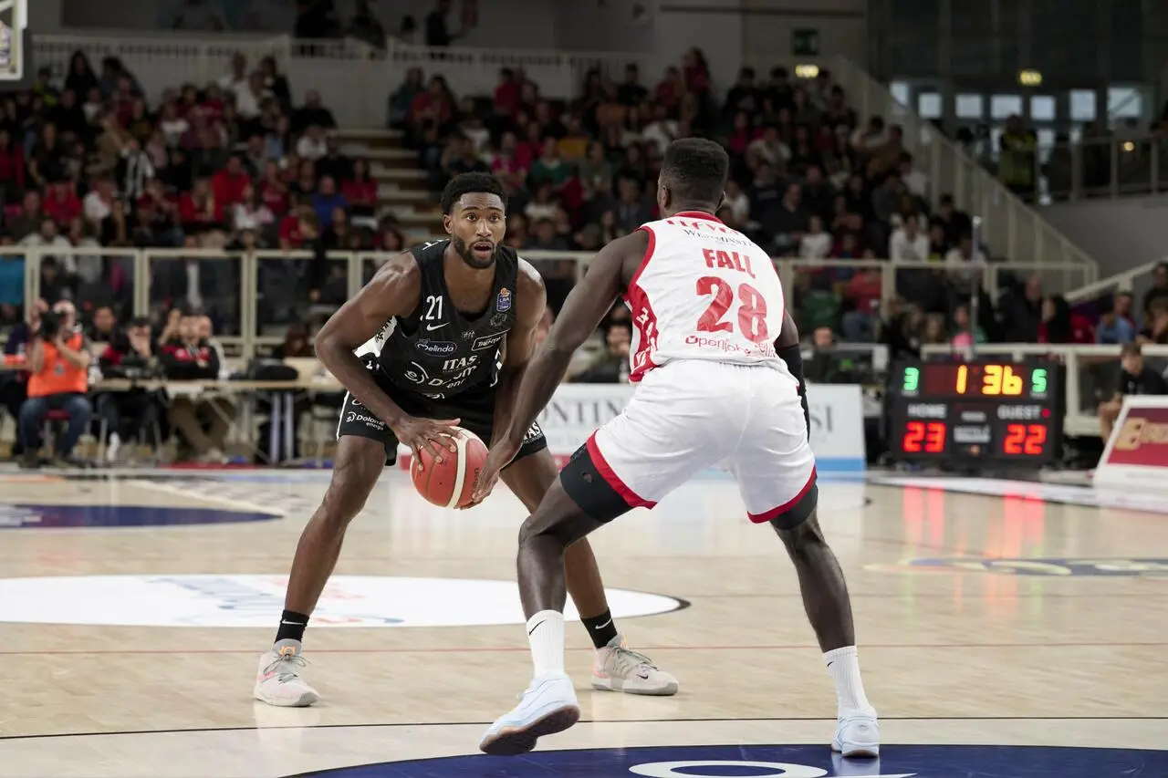 l273891082440-tml2270613714689-409495426261-1732530690379015