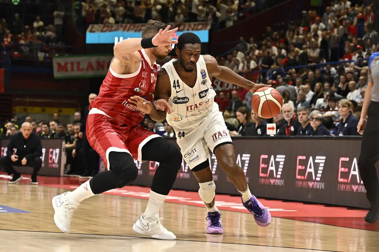 l273891082440-tml2270613714689-437681149141-1715781780915554