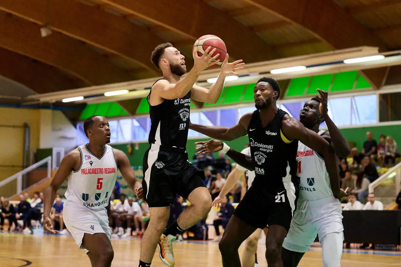 l273891082440-tml2270613714689-455934760149-1727346341398127