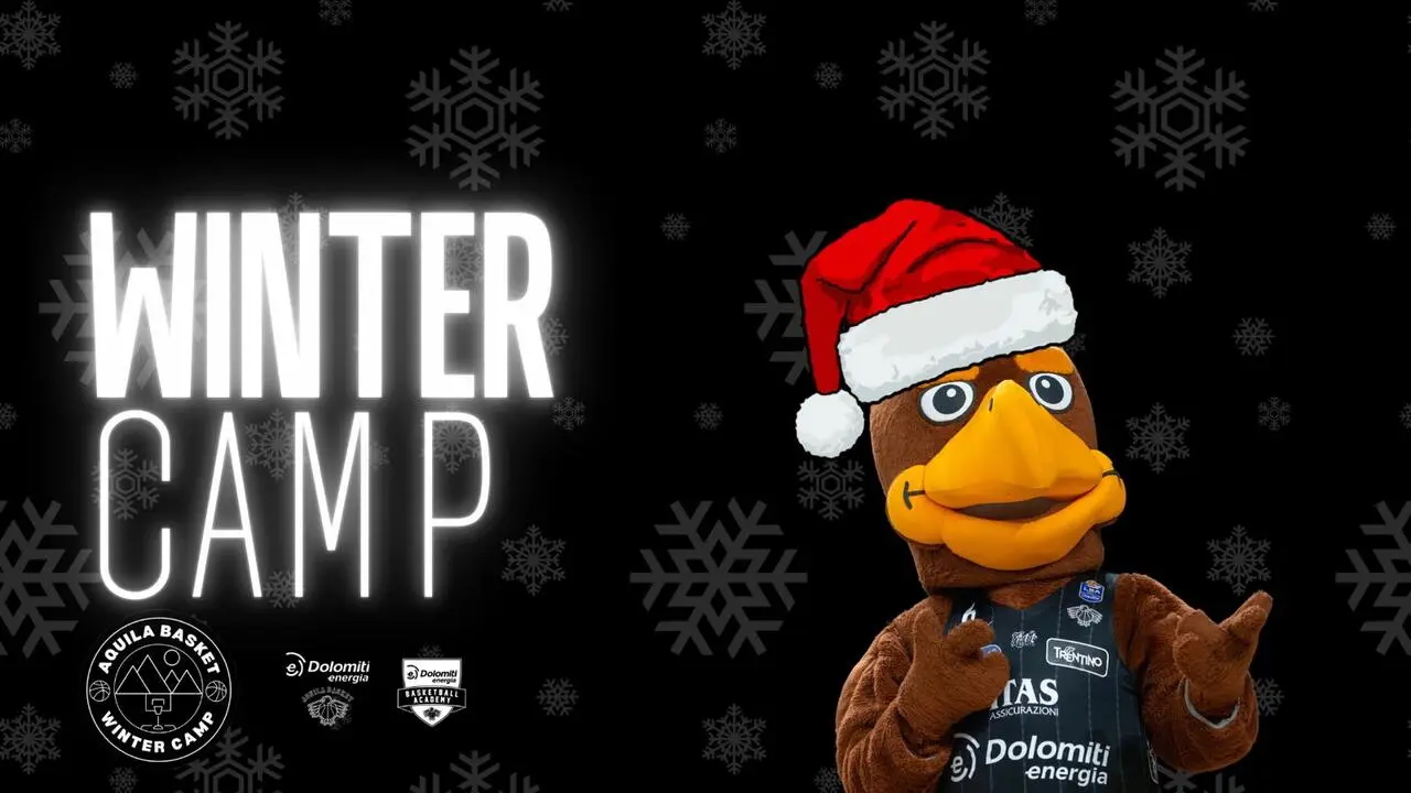 l273891082440-tml2270613714689-512574641365-1732268897824180