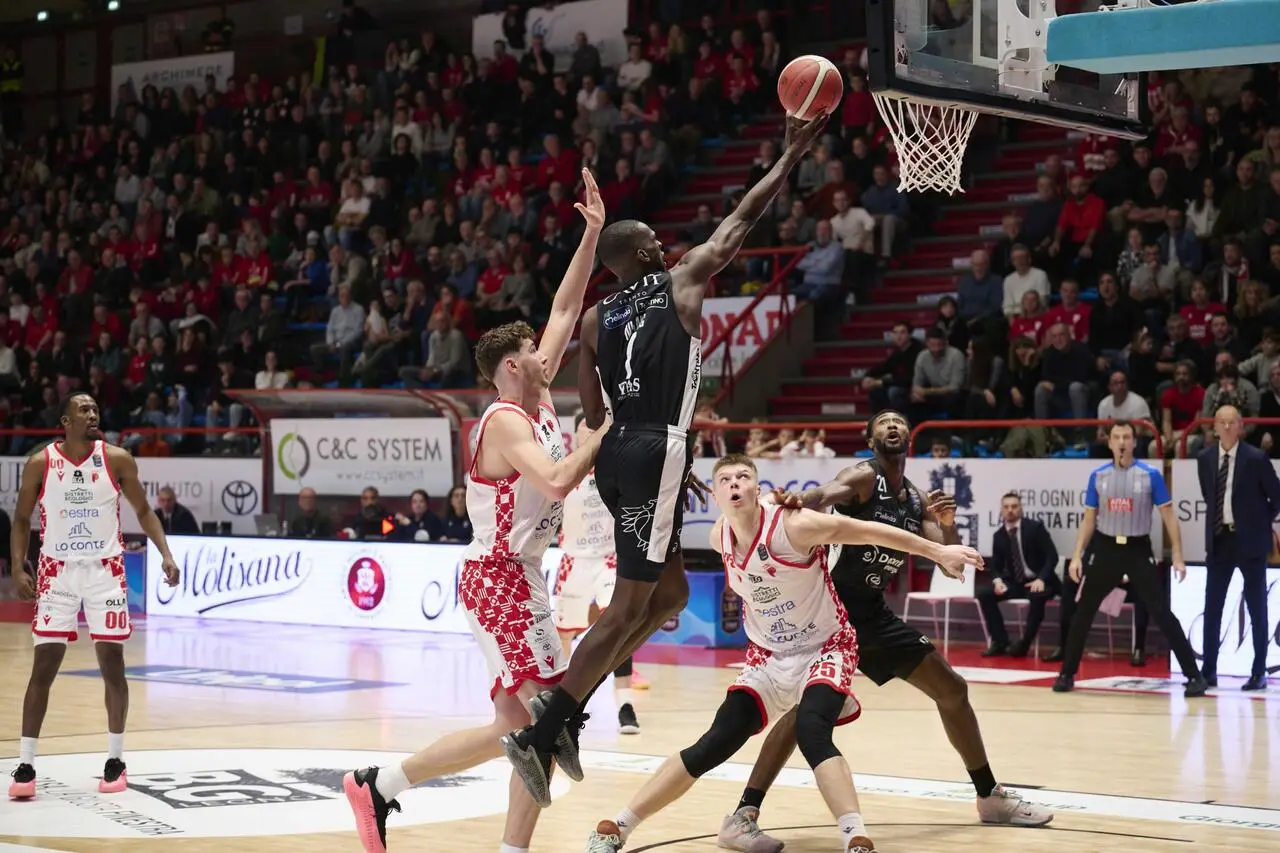 l273891082440-tml2270613714689-53013140693-1733495086702079