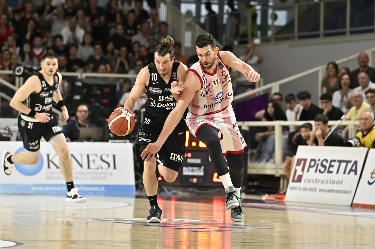 l273891082440-tml2270613714689-85493830869-1716137779292161