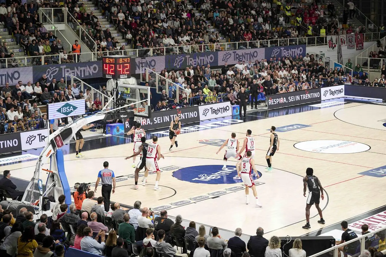 l273891082440-tml2270613714689-91667846357-1731063636966242