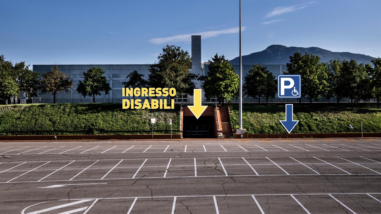 l273891082440-tml2270613714689-110995199189-1728058057210185