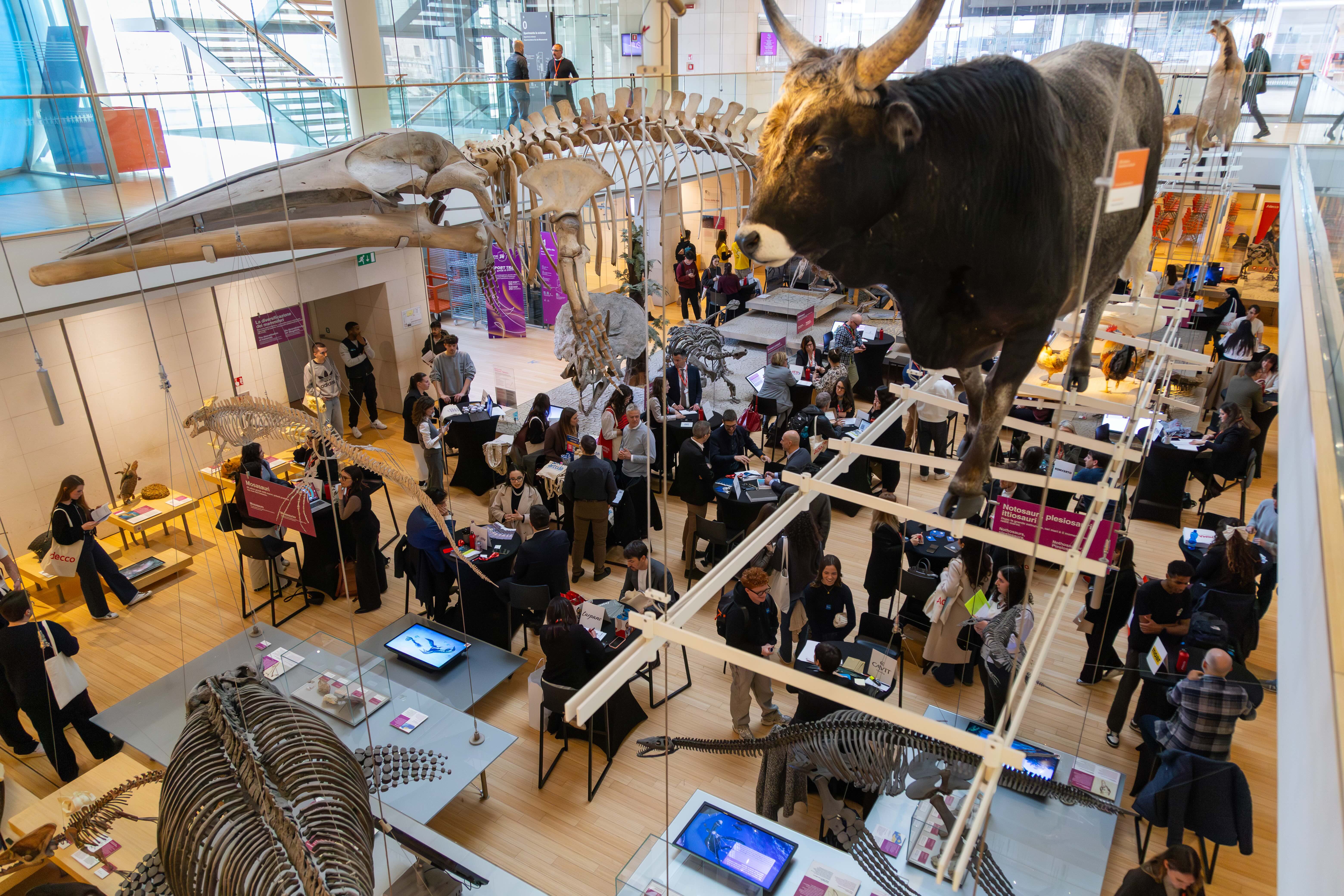 Career-Day-Adecco-Aquila-Basket